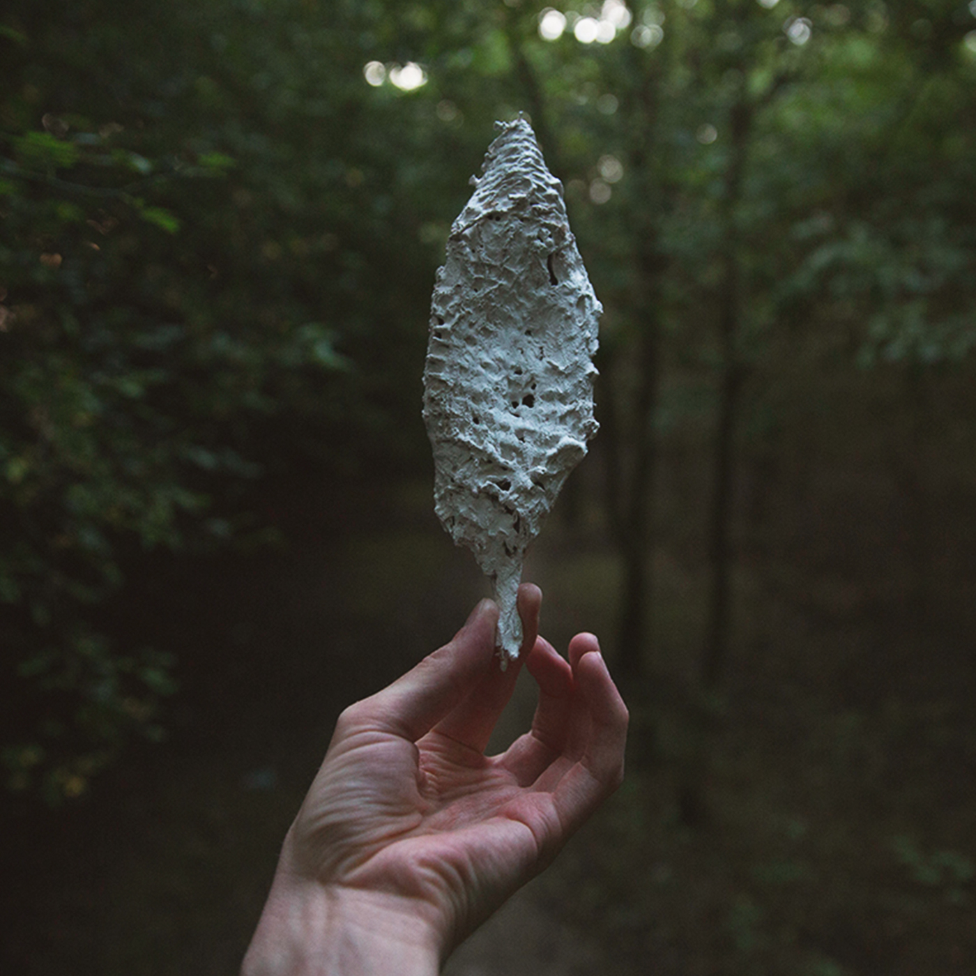Cover artwork for Grounds